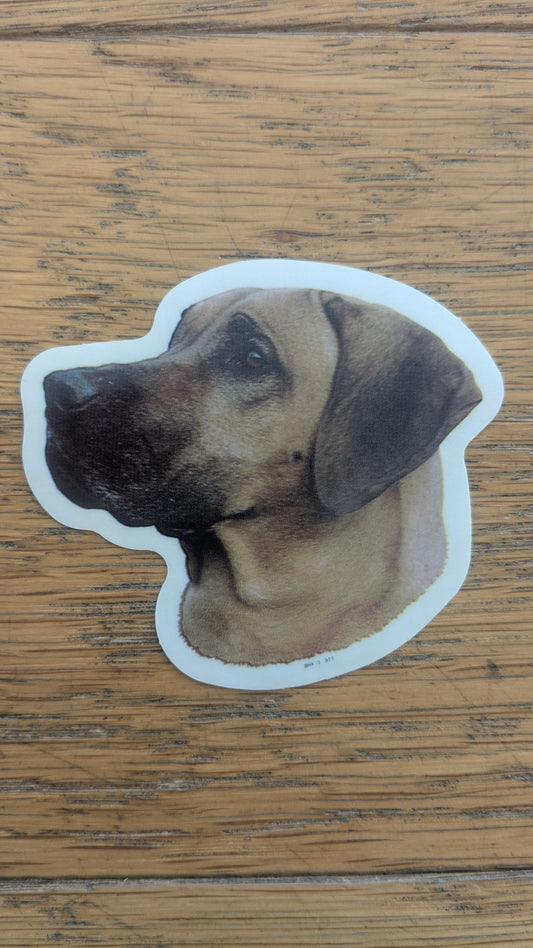 Dekal Liten  Rhodesian Ridgeback