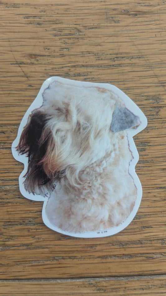 Dekal Liten soft coated wheaten terrier
