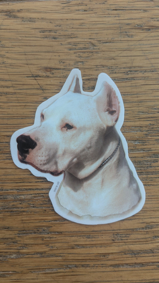 Dekal Liten Dogo argentino