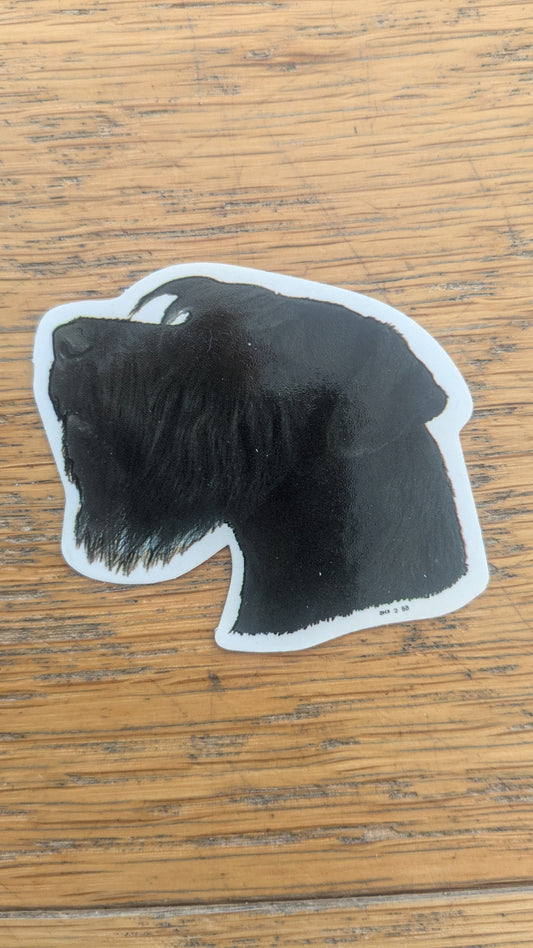 Dekal Liten Risen schnauzer