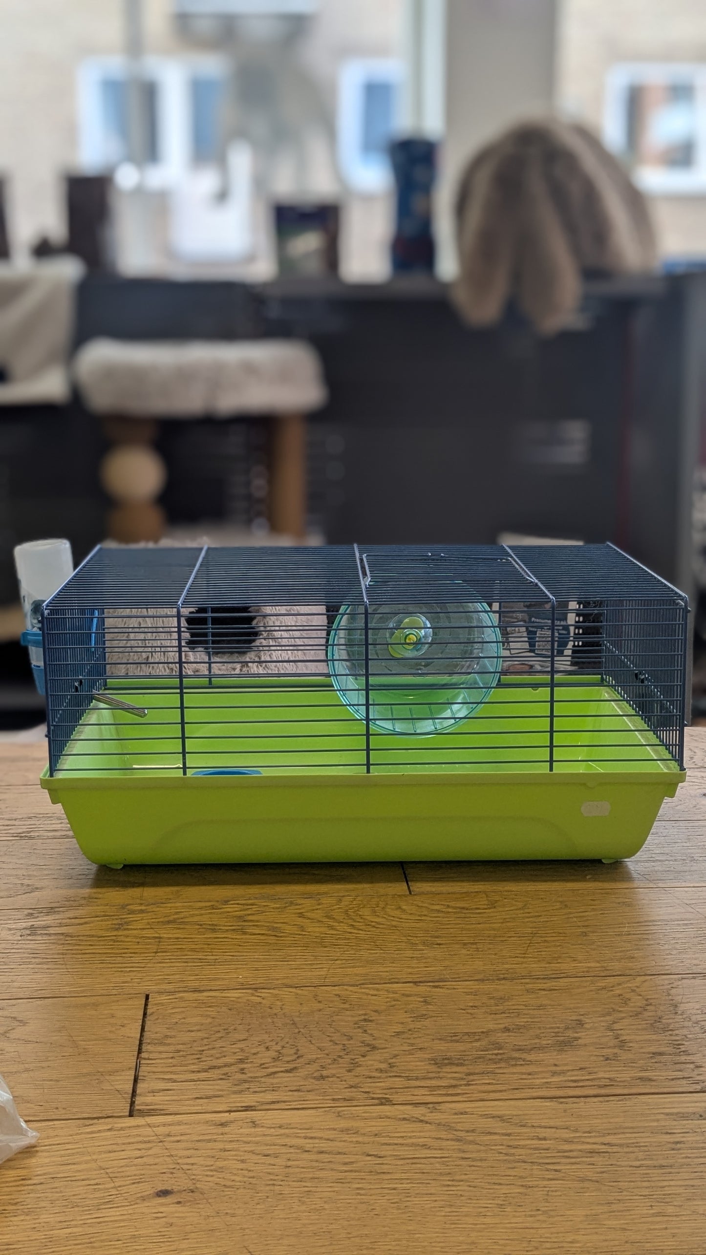 SAVIC Martha Hamster Bur, 46.5 x 29.5 x 21 cm, Grön/ Fuchsia