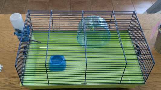 SAVIC Martha Hamster Bur, 46.5 x 29.5 x 21 cm, Grön/ Fuchsia