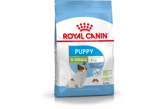 X-Small Puppy