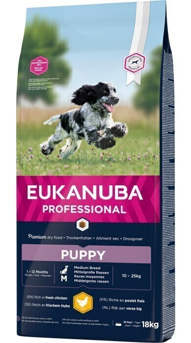 Euk Dog Puppy Medium