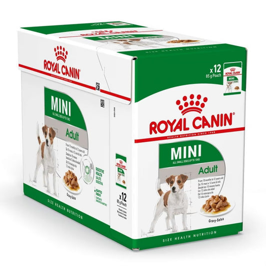 SHN Mini Adult 12x85g