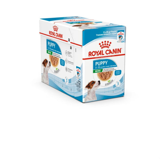 SHN Mini Puppy 12x85g