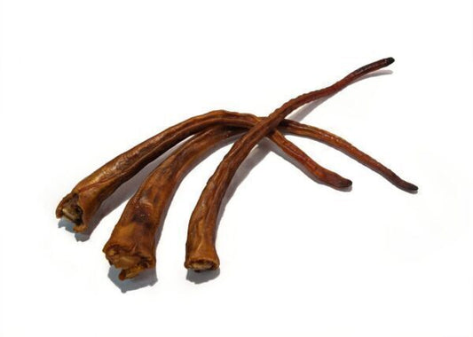 Grisknorr