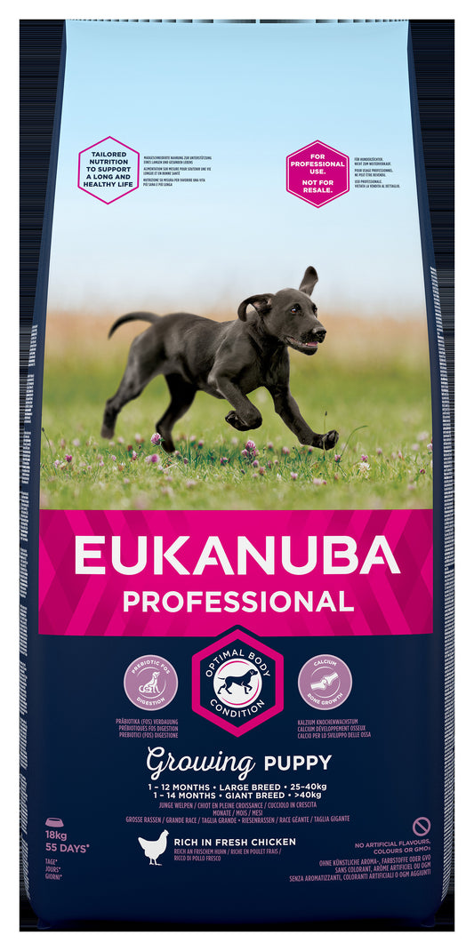 Euk Dog Puppy Large