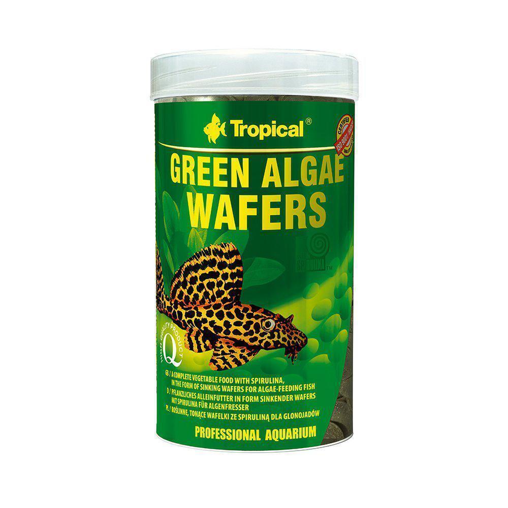 TROPICAL ALGAE WAFERS