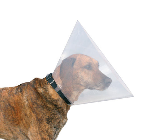 Hundkrage