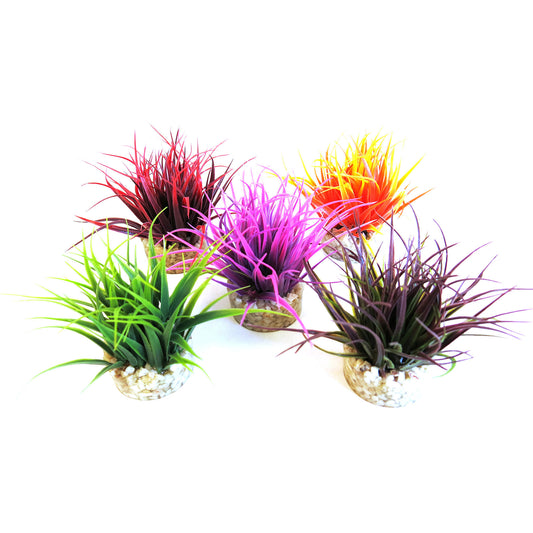 Plastväxt Aqua Nano Moss Sydeco