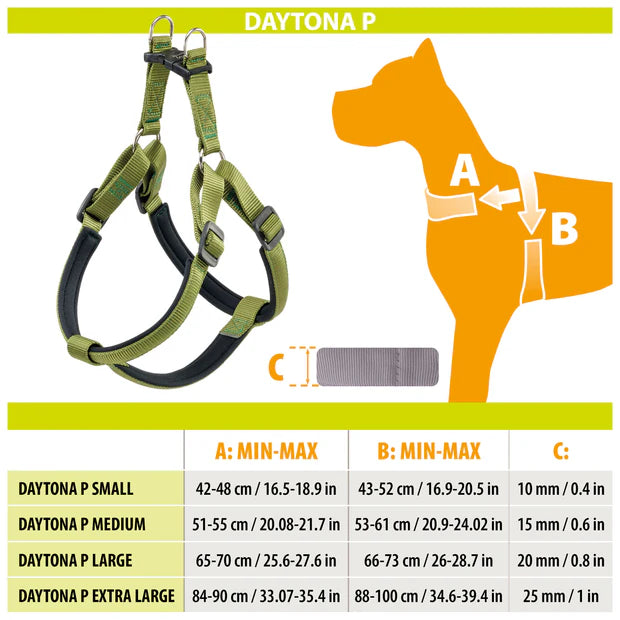 Daytona sele