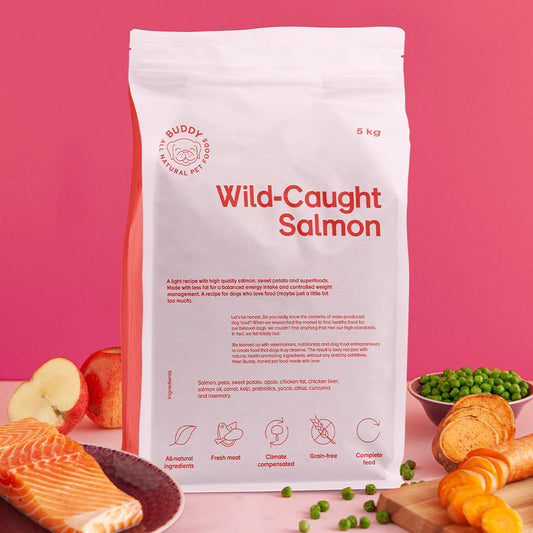 Wild Caught Salmon