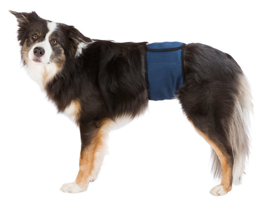 Hanhundsskydd, mörkblå