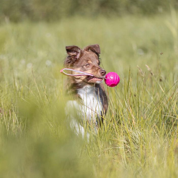 Rosa Soft & Strong boll med rem