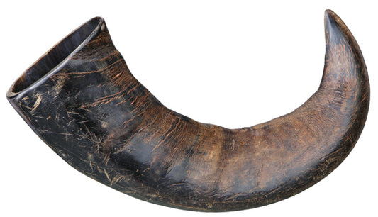 Tugghorn buffel