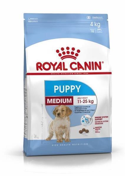 MEDIUM Puppy