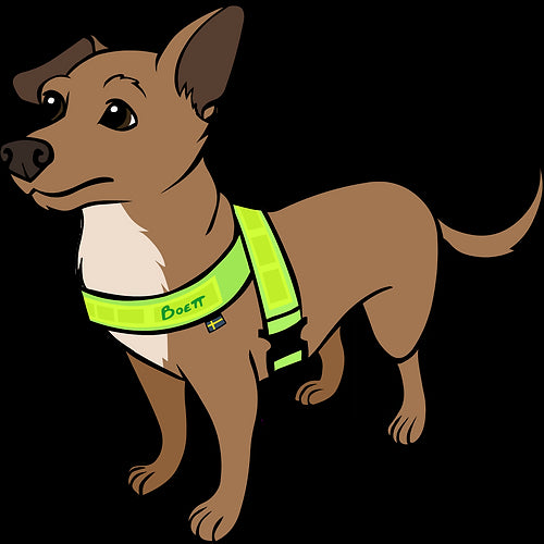 elastisk reflexsele liten hund strl: 4