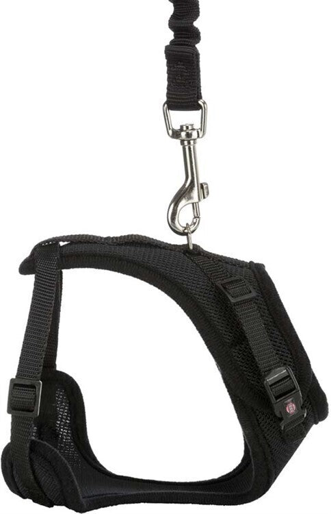 Y-sele, katt, med elastiskt koppel, 39-60 cm/10 mm, 1.00 m