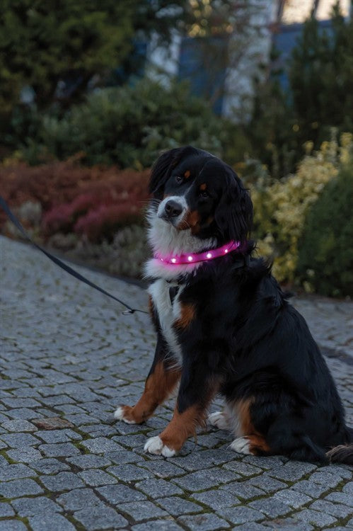 Flash light band