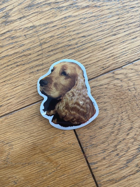 Dekal Liten Cocker spaniel