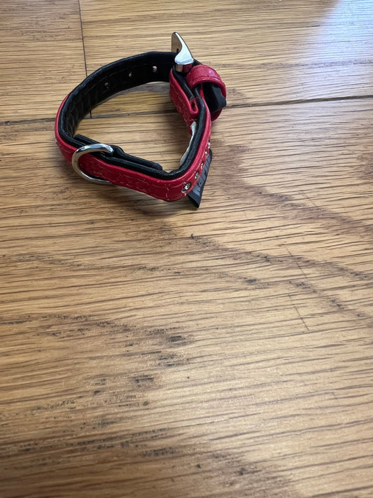 Halsband Röd 20 cm