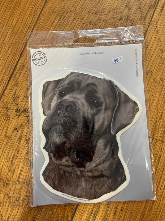 Dekaler Cane corso 2-pack