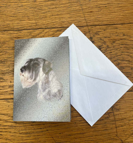 Vykort/gratulationkort Schnauzer, dekal