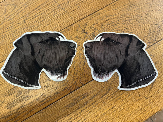 Dekal Riesenschnauzer, svart, 2-pack