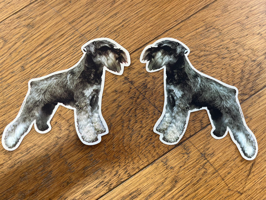 Dekal Schnauzer helkropp 2-pack