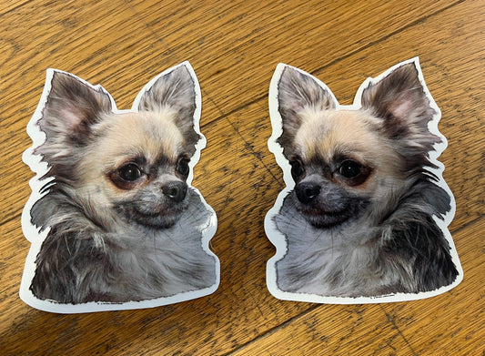 Dekaler Chihuahua 2-pack