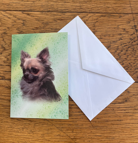 Vykort/gratulationskort Chihuahua, dekal