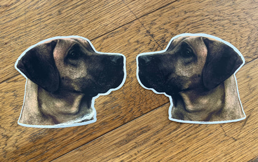 Dekaler Rhodesian ridgeback 2-pack