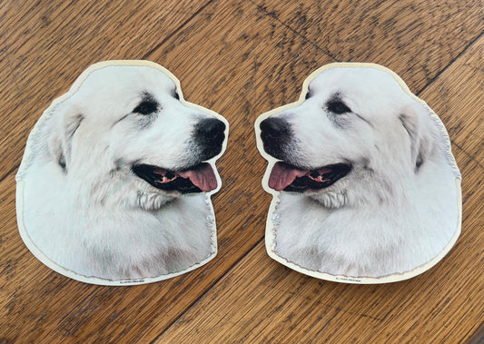 Dekaler Pyreneerhund 2-pack