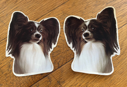 Dekaler Papillon 2-pack
