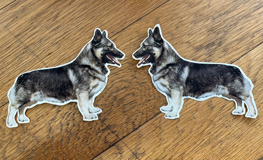 Dekaler Västgötaspets 2-pack