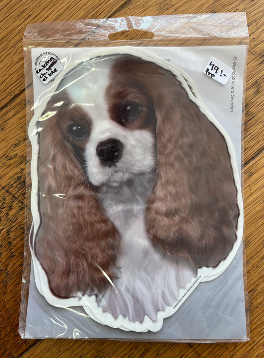 Dekaler Cavalier king charles spaniel, framifrån, 2-pack
