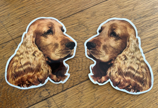 Dekaler Cocker spaniel, ljus, 2-pack