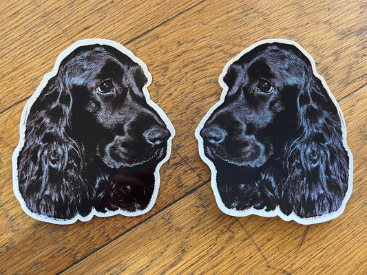 Dekaler Cocker spaniel svart 2-pack