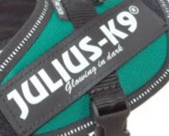 Julius K9 Small Tag 1Par glowing in dark