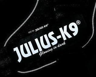 Julius K9 Small Tag 1Par glowing in dark