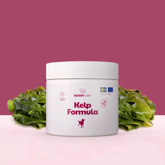 Kelp formula