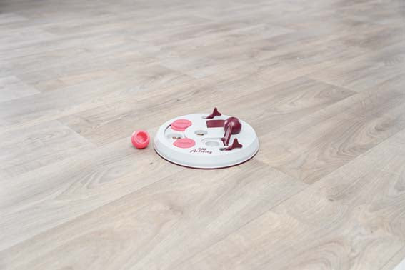 Cat Activity Flip Board