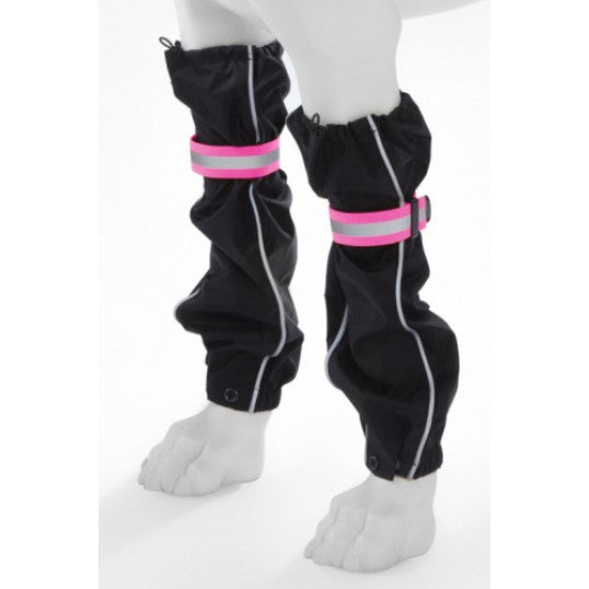 Lifeguard safety gaiters hund