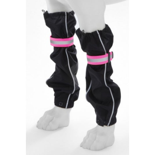 Lifeguard safety gaiters hund