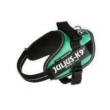 Julius K9 Small Tag 1Par glowing in dark