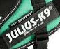 Julius K9 Small Tag 1Par glowing in dark