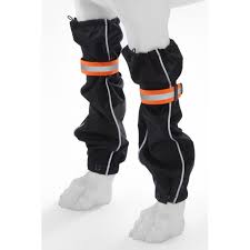 Lifeguard safety gaiters hund