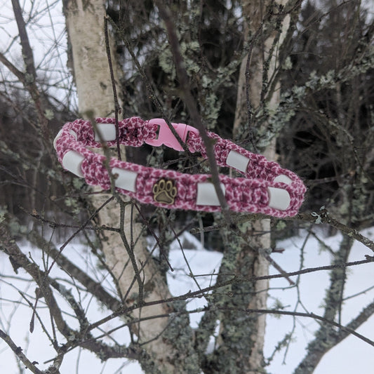 Fästing avvisande halsband EM-pärlor