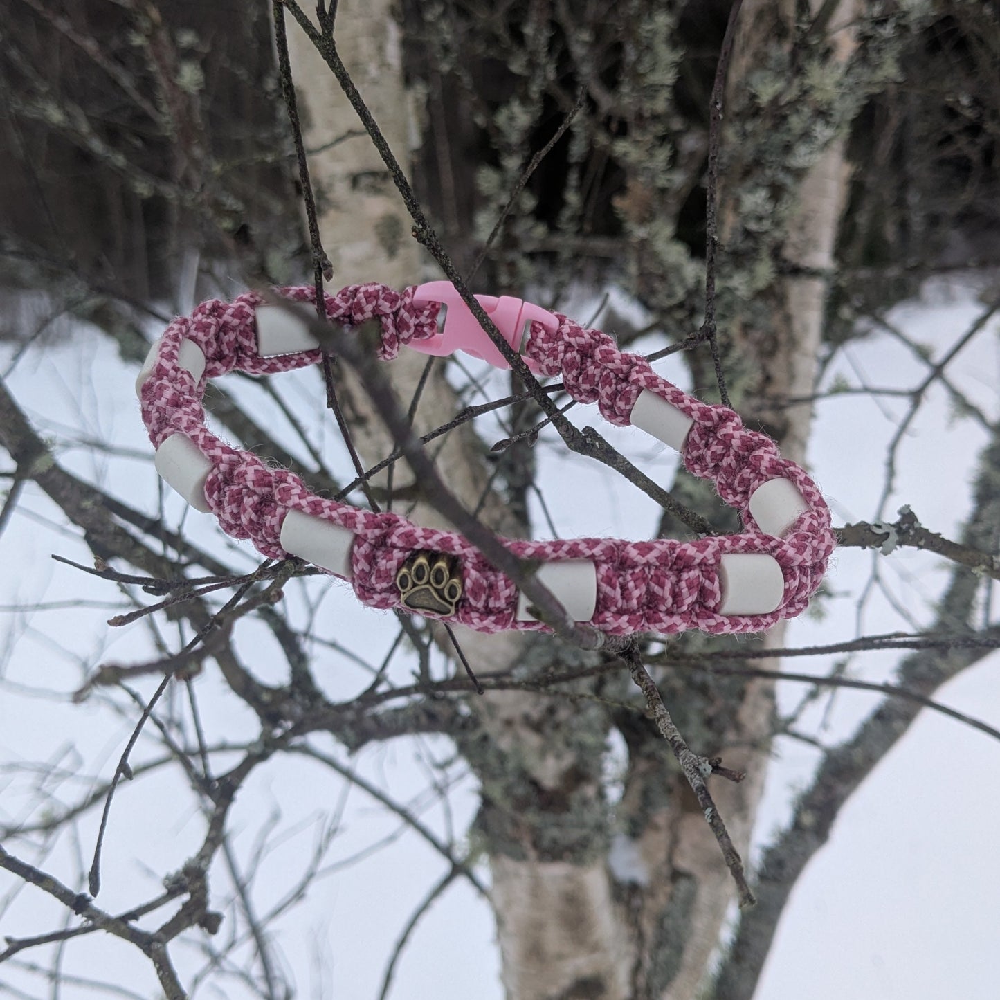 Fästing avvisande halsband EM-pärlor